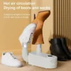 Intelligent Portable Shoe Dryer